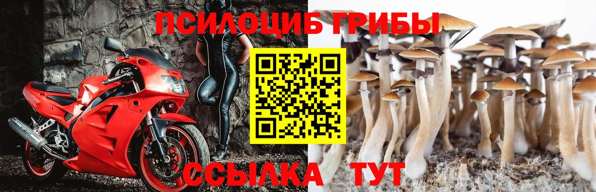Псилоцибиновые грибы MAGIC MUSHROOMS Евпатория