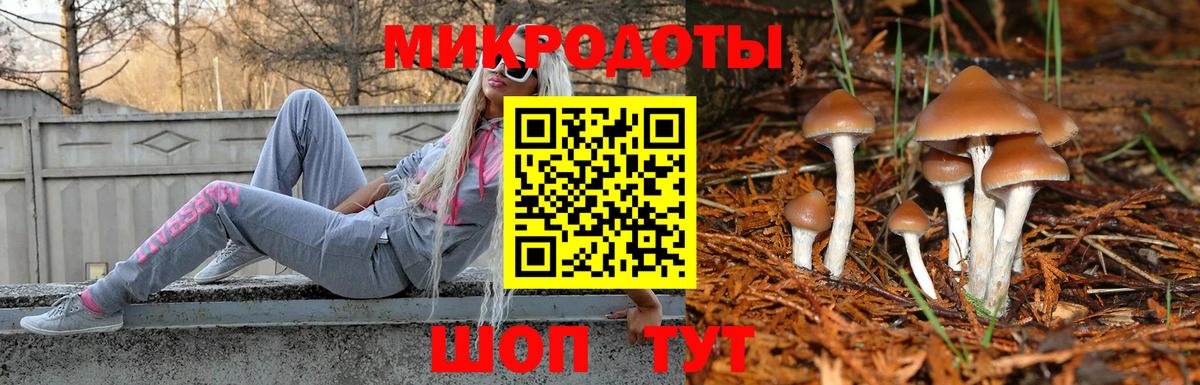 Евпатория  Галлюциногенные грибы GOLDEN TEACHER  закладка  Вход с VPN 